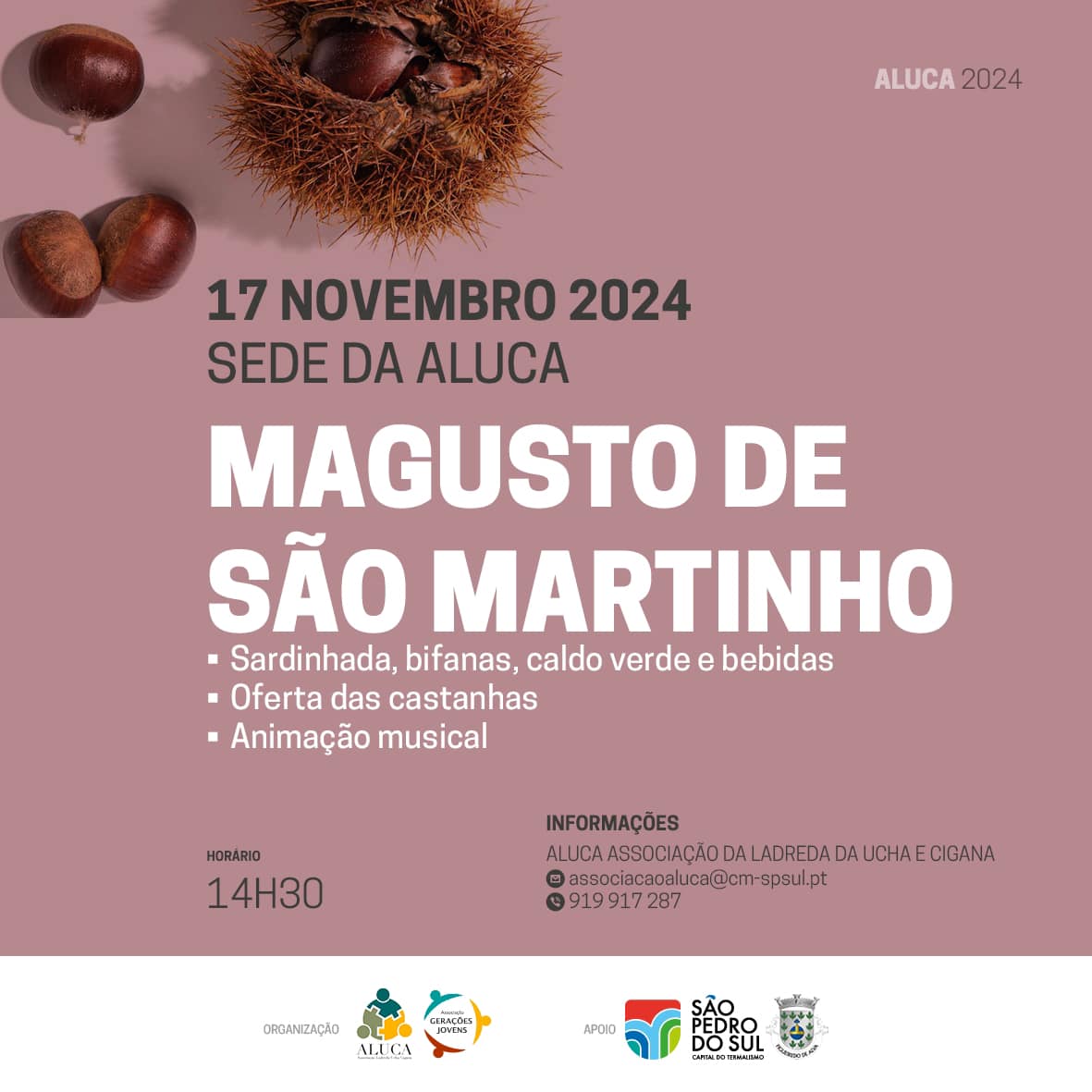 Read more about the article Magusto de São Martinho