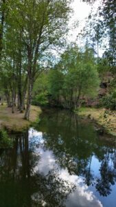 Read more about the article Zona de Lazer da Ucha: Um Novo Espaço Natural em Desenvolvimento