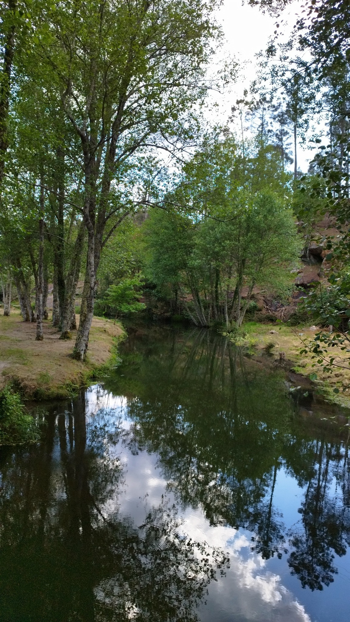 Read more about the article Zona de Lazer da Ucha: Um Novo Espaço Natural em Desenvolvimento