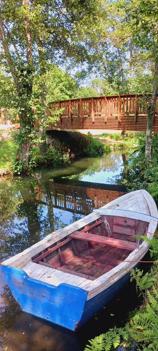 Read more about the article Zona de Lazer de Aluca – Natureza em Estado Puro